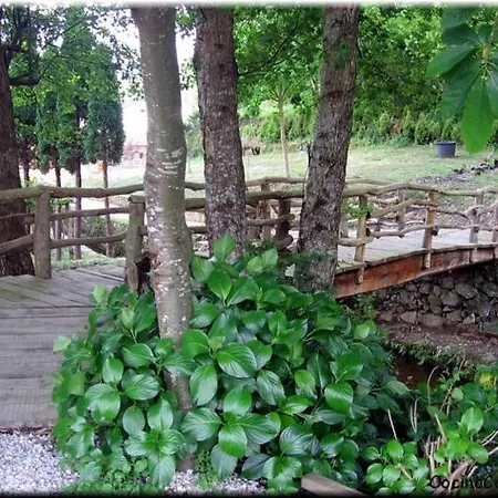 Disfrute De Sus Vacaciones Con Wifi En El Puerto De * Carino