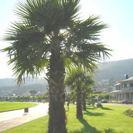 Apartment Disfrute De Sus Vacaciones Con Wifi En El Puerto De Carino